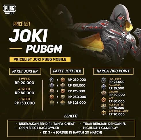Jasa Joki PUBG MOBILE dari tier platinum sampai conqueror